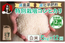 【先行予約】【令和7年産 新米】【12ヶ月定期便】減農薬・減化学肥料の特別栽培コシヒカリ 白米 5kg×12回 計60kg 農家直送 福井県大野市産