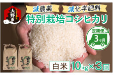 【先行予約】【令和6年産 新米】【3ヶ月定期便】減農薬・減化学肥料の特別栽培コシヒカリ 白米 10kg（5kg×2袋）×3回 計30kg農家直送 福井県大野市産
