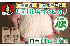 【先行予約】【令和6年産 新米】【12ヶ月定期便】減農薬・減化学肥料の特別栽培コシヒカリ 白米 10kg（5kg×2袋）×12回 計120kg農家直送 福井県大野市産
