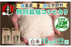 【令和7年産 新米】【12ヶ月定期便】減農薬・減化学肥料の特別栽培コシヒカリ 白米 10kg（5kg×2袋）×12回 計120kg農家直送 福井県大野市産