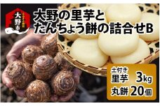 【先行予約】大野の里芋とたんちょう餅の詰め合わせB（里芋3kg+丸餅20個入り×1袋）[A-001070]