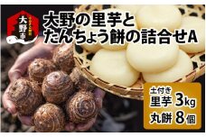 【先行予約】大野の里芋とたんちょう餅の詰め合わせA（里芋3kg+丸餅8個入り×1袋）[A-001069]