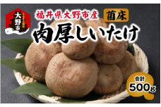 菌床肉厚しいたけ（福井県大野市産）500g