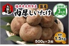 【3ヵ月定期便】菌床肉厚しいたけ（福井県大野市産）500g×3回　計1.5kg