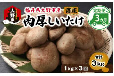【3ヵ月定期便】菌床肉厚しいたけ（福井県大野市産）1kg×3回　計3kg