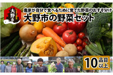 【先行予約】【9月発送分】【農家直送】「大野市の野菜セット」《農家が自分で食べるために育てた野菜のおすそ分け》