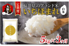 【3ヶ月定期便】【令和6年産】福井県産 いちほまれ（白米）5kg×3回　計15kg