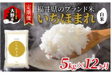 【12ヶ月定期便】【令和6年産 新米】福井県産 いちほまれ（白米）5kg×12回　計60kg