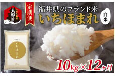 【12ヶ月定期便】【令和6年産 新米】福井県産 いちほまれ（白米）10kg×12回　計120kg