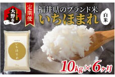 【6ヶ月定期便】【令和6年産 新米】福井県産 いちほまれ（白米）10kg×6回　計60kg