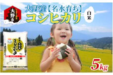 【令和6年産】大野産コシヒカリ（白米）5kg【大野ブランド米 名水育ち】