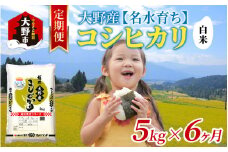 【6ヶ月定期便】【令和6年産 新米】大野産コシヒカリ（白米）5kg×6回 計30kg【大野ブランド米 名水育ち】