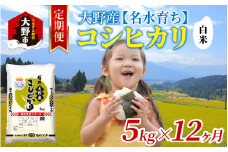 【12ヶ月定期便】【令和6年産 新米】大野産コシヒカリ（白米）5kg×12回 計60kg【大野ブランド米 名水育ち】