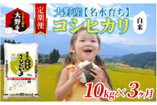 【3ヶ月定期便】【令和6年産】大野産コシヒカリ（白米）10kg×3回 計30kg【大野ブランド米 名水育ち】
