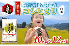 【12ヶ月定期便】【令和6年産 新米】大野産コシヒカリ（白米）10kg×12回 計120kg【大野ブランド米 名水育ち】