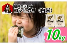 【先行予約】【令和7年産 新米】福井県大野産コシヒカリ（白米）10kg(5kg×2袋)