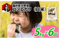 【先行予約】【6ヶ月定期便】【令和7年産 新米】福井県大野産コシヒカリ（白米）5kg×6回　計30kg