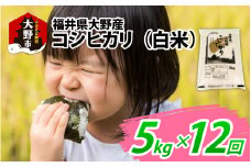 【先行予約】【12ヶ月定期便】【令和7年産 新米】福井県大野産コシヒカリ（白米）5kg×12回　計60kg