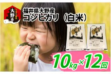 【先行予約】【12ヶ月定期便】【令和7年度 新米】福井県大野産コシヒカリ（白米）10kg(5kg×2袋)×12回 計120kg