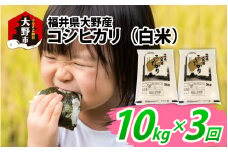 【先行予約】【3ヶ月定期便】【令和7年産 新米】福井県大野産コシヒカリ（白米）10kg(5kg×2袋)×3回 計30kg