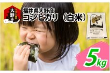 【先行予約】【令和7年産 新米】福井県大野産コシヒカリ（白米）5kg