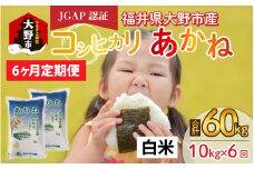 【先行予約】【令和7年産 新米】【6ヶ月定期便】福井県大野市産 JGAP認証 コシヒカリ「あかね」（白米）5kg×2袋＝10kg×6回　計60kg
