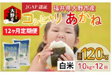 【先行予約】【令和7年産 新米】【12ヶ月定期便】福井県大野市産 JGAP認証 コシヒカリ「あかね」（白米）5kg×2袋＝10kg×12回　計120kg