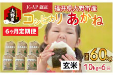 【先行予約】【令和7年産 新米】【6ヶ月定期便】福井県大野市産 JGAP認証 コシヒカリ「あかね」（玄米）10kg×6回　計60kg