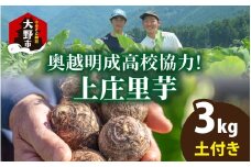 【先行予約】奥越明成高校協力!!　旨味たっぷり上庄の里芋【土付】3kg【11月10日より順次発送】
