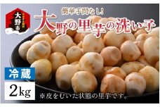 【先行予約】越前大野の里芋の洗い子【冷蔵】2kg【11月より順次発送】 ｜ 里芋 里いも さといも