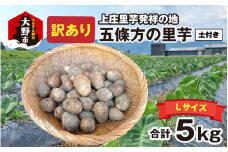 【先行予約】【訳あり】【年内発送】 上庄里芋発祥の地 五條方の里芋 Lサイズ土付（秀・優）混合5kg