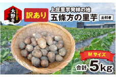【先行予約】【訳あり】【年内発送】 上庄里芋発祥の地 五條方の里芋 Mサイズ土付（秀・優）混合5kg