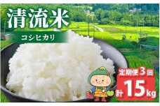 【先行予約】【令和7年産 新米】【3ヶ月定期便】【福井県大野市】さかだに棚田清流米！(コシヒカリ)5kg × 3回 計15kg「今話題の、あのバンドのロケ地！」#🍏