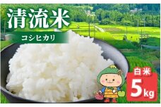 【先行予約】【令和7年産 新米】【福井県大野市】さかだに棚田清流米！(コシヒカリ)（白米） 5kg「今話題の、あのバンドのロケ地！」#🍏
