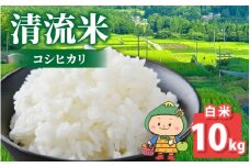 【先行予約】【令和7年産 新米】【福井県大野市】さかだに棚田清流米！(コシヒカリ)（白米）10kg「今話題の、あのバンドのロケ地！」#🍏