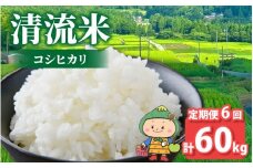 【先行予約】【令和7年産 新米】【6ヶ月定期便】【福井県大野市】さかだに棚田清流米！(コシヒカリ)10kg × 6回 計60g「今話題の、あのバンドのロケ地！」#🍏