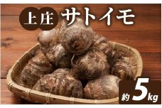 【先行予約】【数量限定】上庄サトイモ（土イモ)5kg 農家直送【11月より順次発送予定】