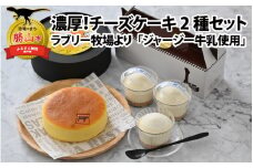 ジャージー牛乳の濃厚な味わい!ラブリー牧場チーズケーキ2種セット [A-014001]
