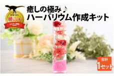 癒しの極み♪ハーバリウム作成キット [A-037004]