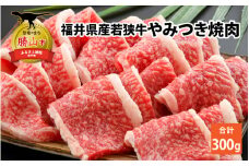 福井県内産若狭牛　やみつき焼肉(300g) [A-012002]