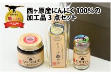 西ヶ原産にんにく100%の加工品3点セット（にんにく味噌・にんにくパウダー・ガーリックオイル 各1点ずつ） [A-017003]