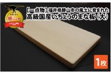 【一点物】恐竜のまち福井県勝山市の風土に育まれた 日本製高級国産いちょうのまな板(大) [B-026008]