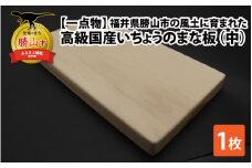 【一点物】恐竜のまち福井県勝山市の風土に育まれた 日本製高級国産いちょうのまな板(中) [B-026009]