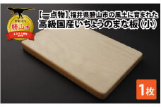 【一点物】恐竜のまち福井県勝山市の風土に育まれた 日本製高級国産いちょうのまな板(小) [A-026005]