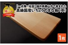 【一点物・柾目】恐竜王国福井県勝山市の風土に育まれた 日本製高級国産いちょうのまな板(中) [C-026002]