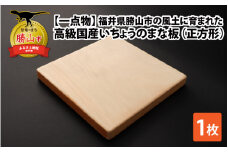 【一点物】恐竜のまち福井県勝山市の風土に育まれた 日本製高級国産いちょうのまな板(正方形) [A-026006]