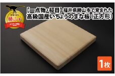 【一点物・柾目】恐竜王国福井県勝山市の風土に育まれた 日本製高級国産いちょうのまな板(正方形) [B-026007]