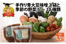 手作り青大豆味噌2袋と季節の野菜5～10種類 [A-020012]