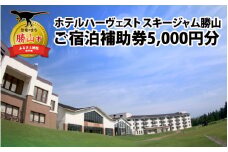 ホテルハーヴェストスキージャム勝山ご宿泊補助券5000円分 [A-023002]