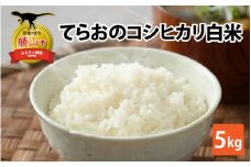 【先行予約】てらおのコシヒカリ白米 5kg×1袋 [A-041002]